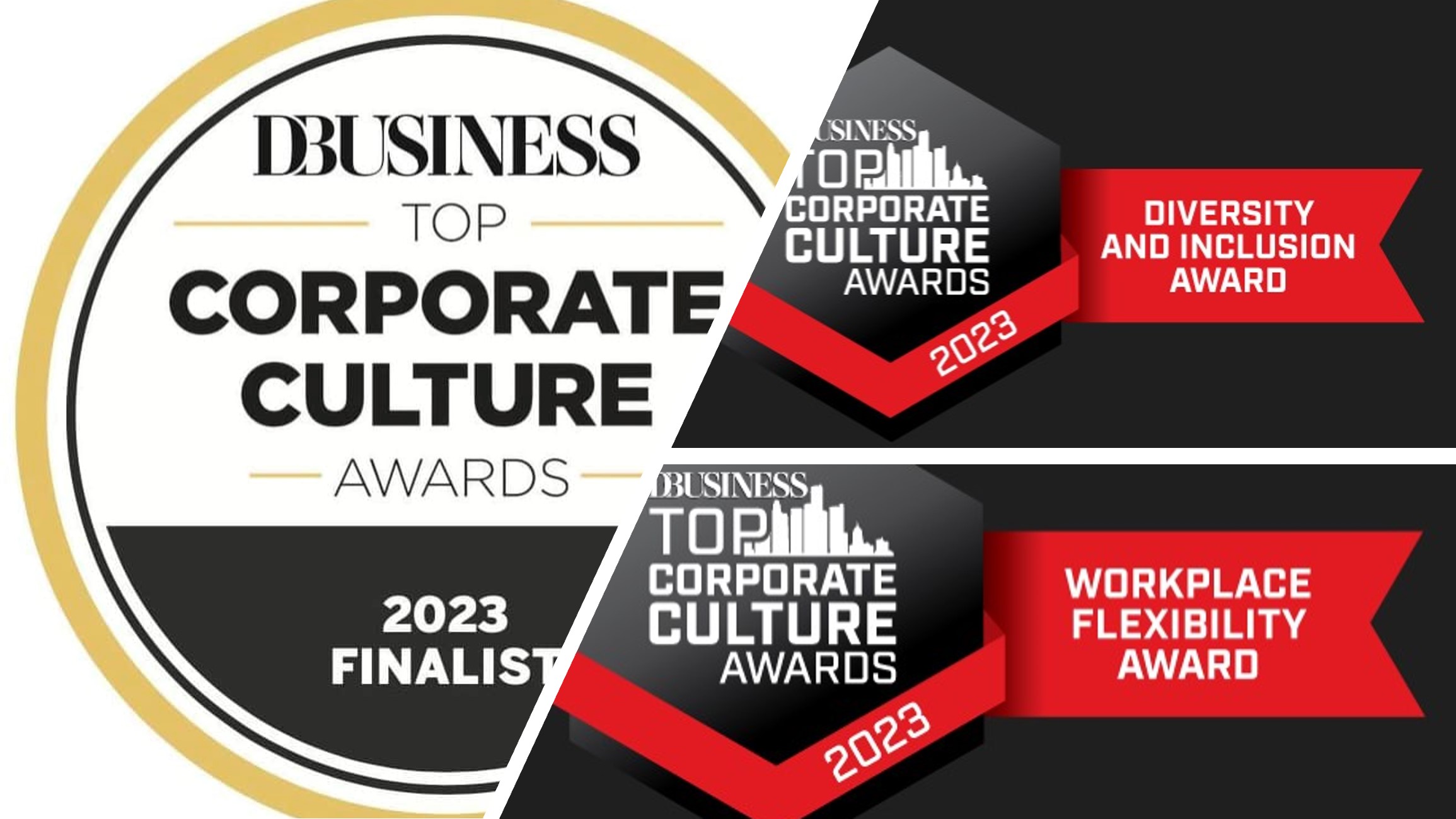 DBusiness Corporate Culture Awards